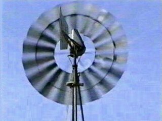 MOLINO VIENTO 01  ECOLOGIA